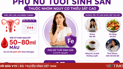 Mất máu trong chu kỳ kinh nguyệt: nguy cơ sức khỏe phụ nữ hiện đại dễ bỏ qua