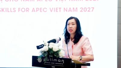 APEC ویتنام 2027 کی تیاری میں مواصلاتی صلاحیت بڑھانے پر ورکشاپ۔