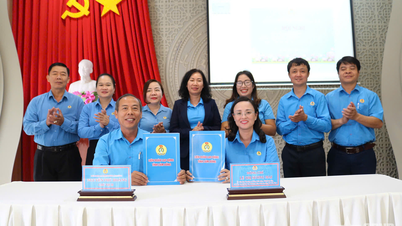 Can Tho - Lam Dong Labor Federation joins forces to better care for workers.