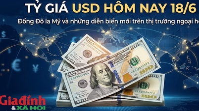 Tipo de cambio del USD hoy, 18 de junio: El dólar estadounidense en los bancos disminuyó ligeramente, mientras que en el mercado negro se cotizaba en torno a los 26.410 VND/USD.