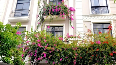 Una conmovedora historia de amor que se esconde tras un edificio de cinco plantas cubierto de buganvillas en el "barrio rico" de Ciudad Ho Chi Minh.