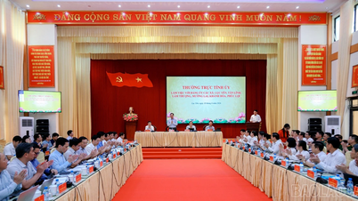 The Standing Committee of the Provincial Party Committee worked with the Standing Committees of the Party Committees of 6 communes in the Luc Yen area.