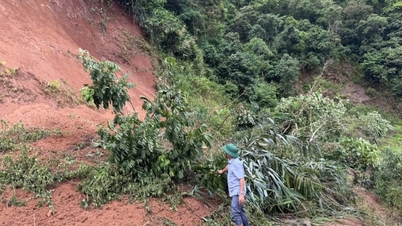 Dien Bien Province to collect the Disaster Prevention and Control Fund in 2026