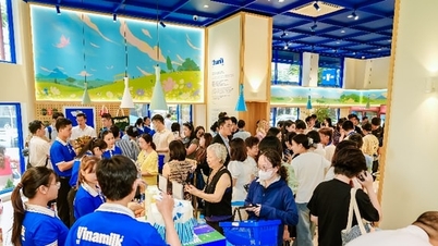 For three consecutive years, Vinamilk has been included in the Fortune SEA 500, affirming its position as a leading Vietnamese dairy brand.