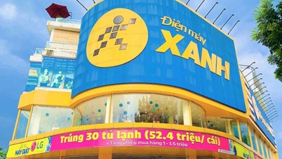 ‘Vua điện máy Việt’ Điện Máy Xanh ế cổ phiếu IPO