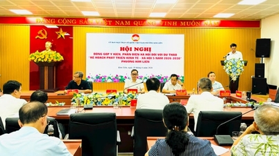 किम लियन वार्ड: 2026-2030 की अवधि के लिए सामाजिक-आर्थिक विकास योजना के मसौदे पर प्रतिक्रिया प्रदान करना।