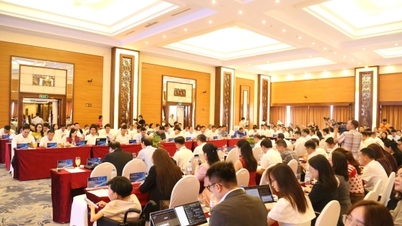 Den lokale dialogrunde med Vietnam Private Economic Forum var livlig og engagerende.