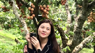 A medida que las estaciones traen frutos maduros al campo