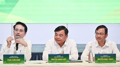 Bộ Nông nghiệp và Môi trường không để thủ tục hành chính làm lỡ cơ hội đầu tư, kinh doanh