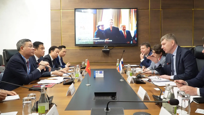 Desbloquear el potencial de cooperación económica entre Vietnam y la Federación Rusa.