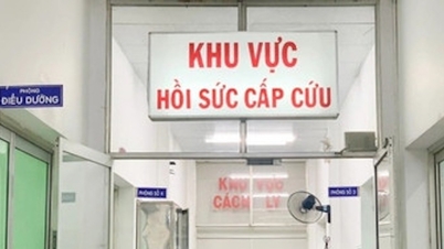 Bộ Y tế đề nghị điều tra vụ hơn 200 ca cấp cứu sau ăn bánh mì ở Đồng Tháp