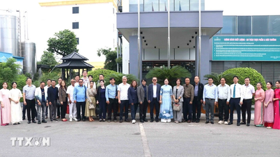 Hội Báo toàn quốc 2026: Nhịp cầu gắn kết truyền thông ASEAN