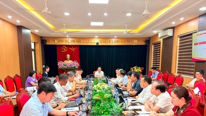 Ban Chấp hành Đảng bộ xã Phúc Thịnh cho ý kiến về nhiều nội dung quan trọng