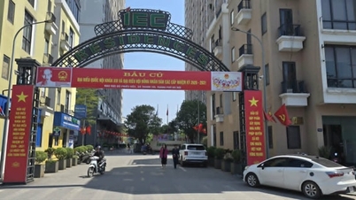 Daerah Thanh Tri meminta panduan mengenai pemeriksaan kes yang menunjukkan tanda-tanda pelanggaran di projek IEC Residences.