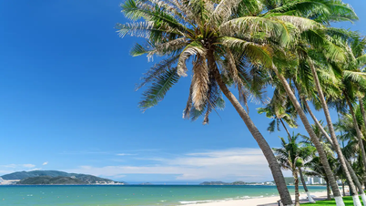 Disfruta de un viaje de verano a dos ciudades costeras: Da Nang y Nha Trang.