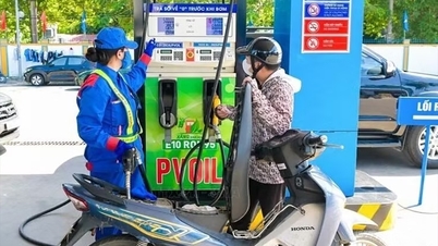 A partir de las 15:00 horas del 18 de junio, el precio de la gasolina E10 no superará los 20.753 VND/litro.