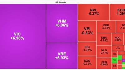 Real estate stocks surged, VN-Index rose sharply thanks to the pull of leading stocks.