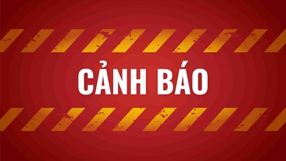 A VNPAY alerta para sites que se fazem passar por sua marca para cometer fraudes e roubar dinheiro.