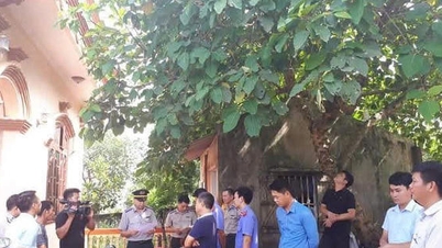 Kekal dekat dengan akar umbi dan mempercepatkan penguatkuasaan penghakiman di Phu Tho: Momentum baharu dari permulaan tempoh puncak 90 hari.
