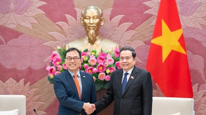 A vietnami és koreai parlamentek szerepének kihasználása a nagyszabású együttműködési programok megvalósításának előmozdítása érdekében.