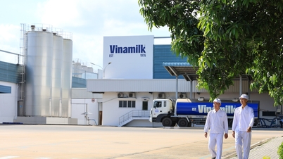 The only Vietnamese dairy company to be included in the Fortune Southeast Asia 500.