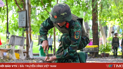 Im Le Thi Rieng Park wird auf einer Fläche von über 2.500 Quadratmetern Bodenradar eingesetzt, um nach den Überresten gefallener Soldaten zu suchen.
