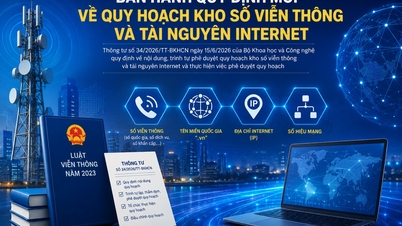Le ministère des Sciences et des Technologies a publié de nouvelles réglementations concernant la planification des ressources de numérotation des télécommunications et des ressources Internet.