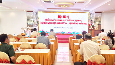 Triển khai thi hành Luật Giáo dục đại học, Luật Bảo vệ bí mật nhà nước và Luật Trí tuệ nhân tạo