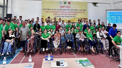 Trung tâm Trợ giúp pháp lý nhà nước TP. Cần Thơ Chào mừng 28 năm ngày Người khuyết tật Việt Nam (18/4/1998 - 18/4/2026) Chủ đề: “Thúc đẩy quyền tham gia của người khuyết tật, kiến tạo đột phá phát triển”