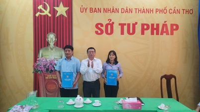 Quyết định thành lập Chi nhánh thuộc Trung tâm Trợ giúp pháp lý nhà nước TP. Cần Thơ