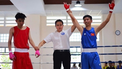 Cerimônia de encerramento e entrega de prêmios da modalidade boxe no Festival Esportivo Provincial de An Giang 2026.