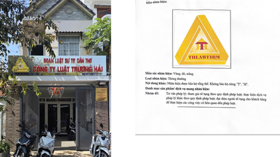 CÔNG TY LUẬT TNHH HAI THÀNH VIÊN TRƯỜNG HẢI