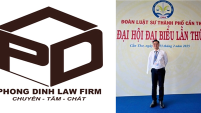 Công ty Luật TNHH MTV Phong Dinh