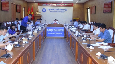 ຄະນະບໍລິຫານງານພັກມະຫາວິທະຍາໄລໄທງວຽນ ໄດ້ຈັດກອງປະຊຸມກັບອົງການຈັດຕັ້ງມະຫາຊົນ.