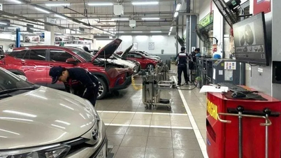 Ford Vietnam está retirando del mercado algunos modelos Ranger y Everest de 2026 para solucionar un defecto en el limpiaparabrisas.