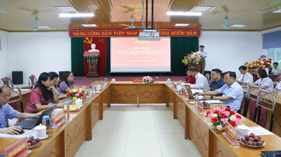 El proceso para llevar los historiales médicos electrónicos a la región fronteriza de Cao Bang.