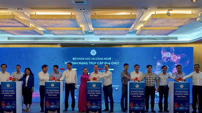 आधुनिक इंटरनेट अवसंरचना के निर्माण में IPv6-ओनली एक अपरिहार्य विकास है।
