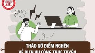 Die „Engpässe“ müssen umgehend und gründlich behoben werden, damit Bürger und Unternehmen bei der Durchführung von Online-Verwaltungsverfahren nicht beeinträchtigt werden.