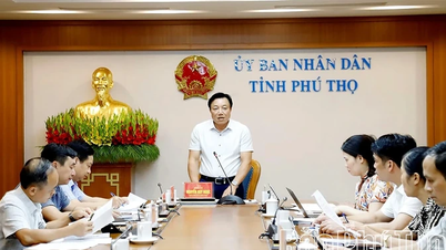 បង្កើតគោលនយោបាយជាក់លាក់ និងពង្រឹងបណ្តាញថែទាំសុខភាពថ្នាក់មូលដ្ឋាន។