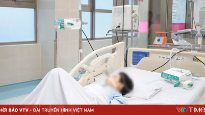 Kementerian Kesihatan: Menyiasat dan mencegah berulangnya keracunan makanan akibat makan roti di Dong Thap.
