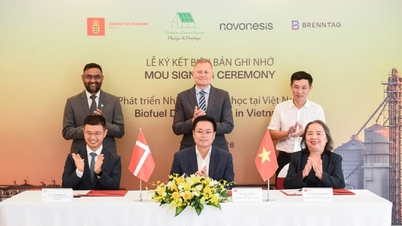Denmark and Vietnam are cooperating to promote biofuel production.