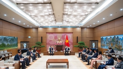 Enhancing the role of the Vietnamese and Korean Parliaments in promoting the realization of cooperation agreements.