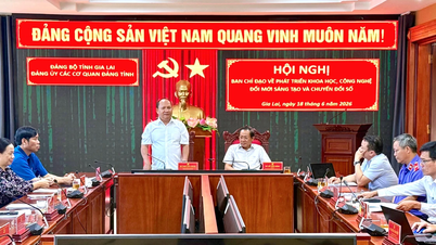 Meeting of the Steering Committee for the implementation of Resolution No. 57-NQ/TW of the Politburo.