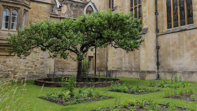 Restoring the 336-year-old garden of the "father of natural history".