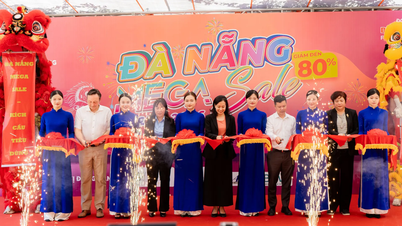 Da Nang: Het organiseren van een festival voor merkproducten om de consumentenbestedingen te stimuleren.