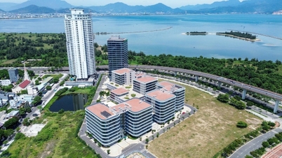 Properti di Da Nang: Dari destinasi bergengsi menjadi magnet investasi global.