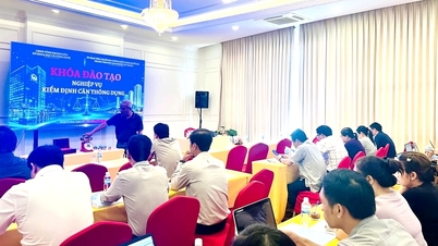 មន្ទីរវិទ្យាសាស្ត្រ និងបច្ចេកវិទ្យាខេត្ត Khanh Hoa បានរៀបចំវគ្គបណ្តុះបណ្តាលស្តីពី "ជំនាញវិជ្ជាជីវៈក្នុងការផ្ទៀងផ្ទាត់ជញ្ជីងថ្លឹងទម្ងន់ទូទៅ"។