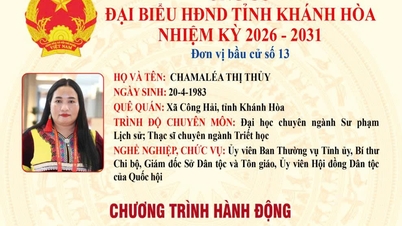 Action plan of the Director of the Department of Ethnic Minorities and Religions - Candidate for the Khanh Hoa Provincial People's Council, term 2026-2031