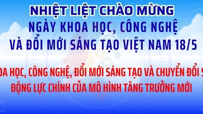 គោលការណ៍ណែនាំសម្រាប់ការរៀបចំ និងអនុវត្តសកម្មភាពនានា ដើម្បីឆ្លើយតបទៅនឹងទិវាវិទ្យាសាស្ត្រ បច្ចេកវិទ្យា និងនវានុវត្តន៍វៀតណាម (ថ្ងៃទី១៨ ខែឧសភា)
