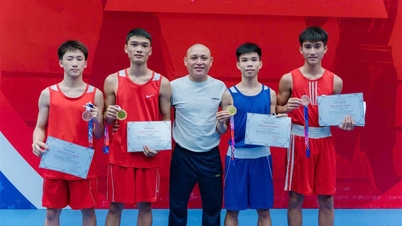ทีมมวยของจังหวัดเหงะอานคว้า 5 เหรียญทองในการแข่งขันมวยชิงแชมป์แห่งชาติประเภททีมแข็งแกร่งประจำปี 2026